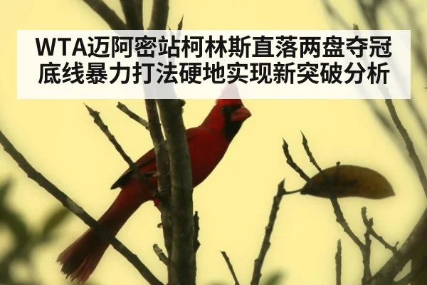 WTA迈阿密站柯林斯直落两盘夺冠 底线暴力打法硬地实现新突破分析
