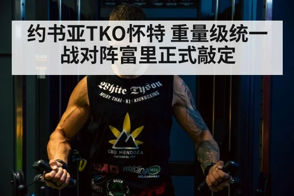 Tyson Fury boxing